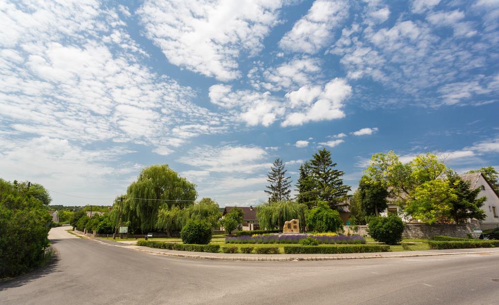 Bordoma Falusi Vendeghaz Balatonszolos Zewnętrze zdjęcie